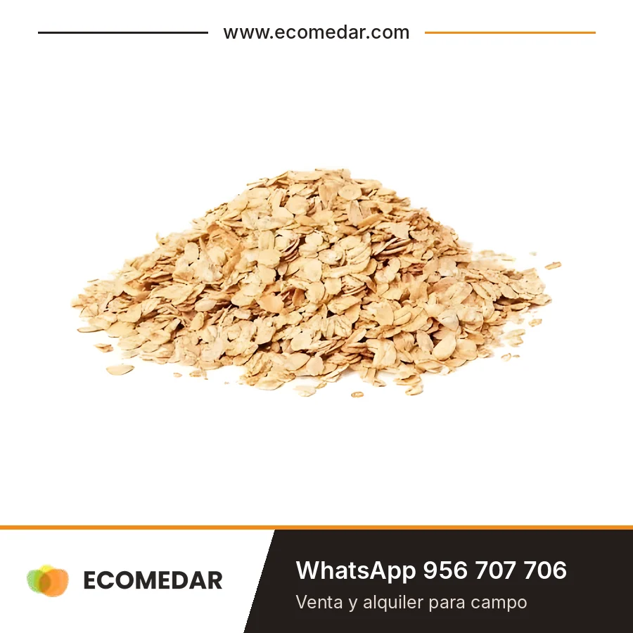 Avena